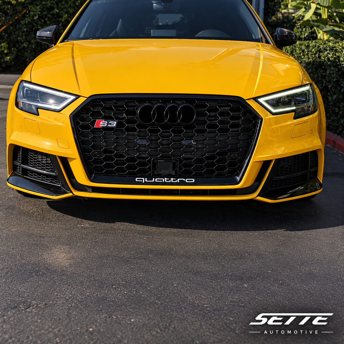 Audi S3 8V (2013–2016) Honeycomb Grille - Sette Automotive